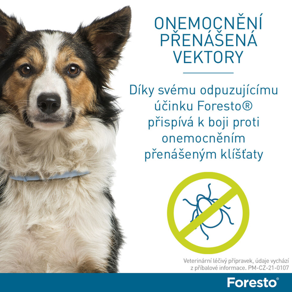 Foresto 4.50g+2.03g obojek psy nad 8kg 70cm - skladem | BENU.cz