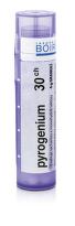 Pyrogenium 30CH gra.4g
